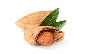 huile végétale bio amande douce